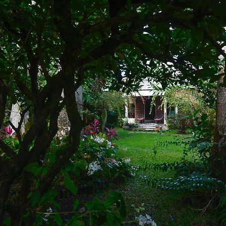Le Medinilla Bed and Breakfast Bras-Panon Εξωτερικό φωτογραφία