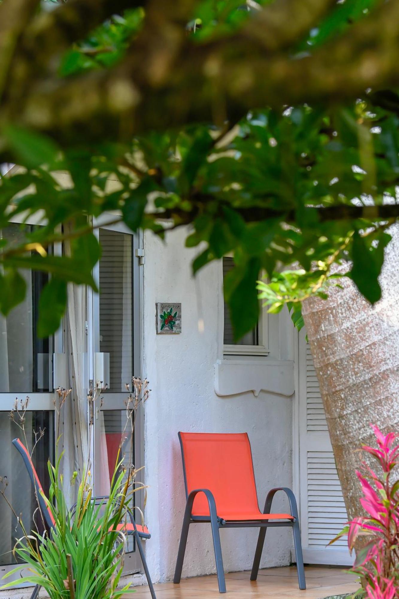 Le Medinilla Bed and Breakfast Bras-Panon Εξωτερικό φωτογραφία