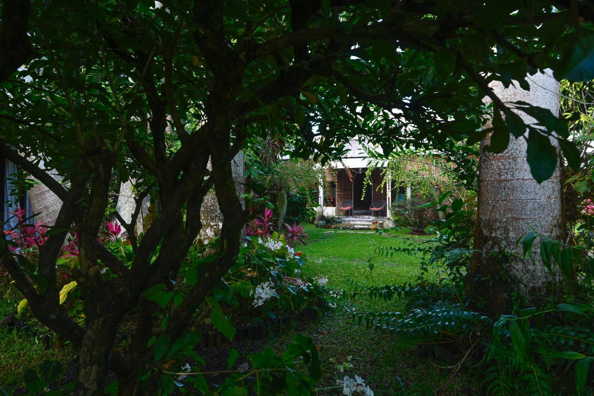 Le Medinilla Bed and Breakfast Bras-Panon Εξωτερικό φωτογραφία