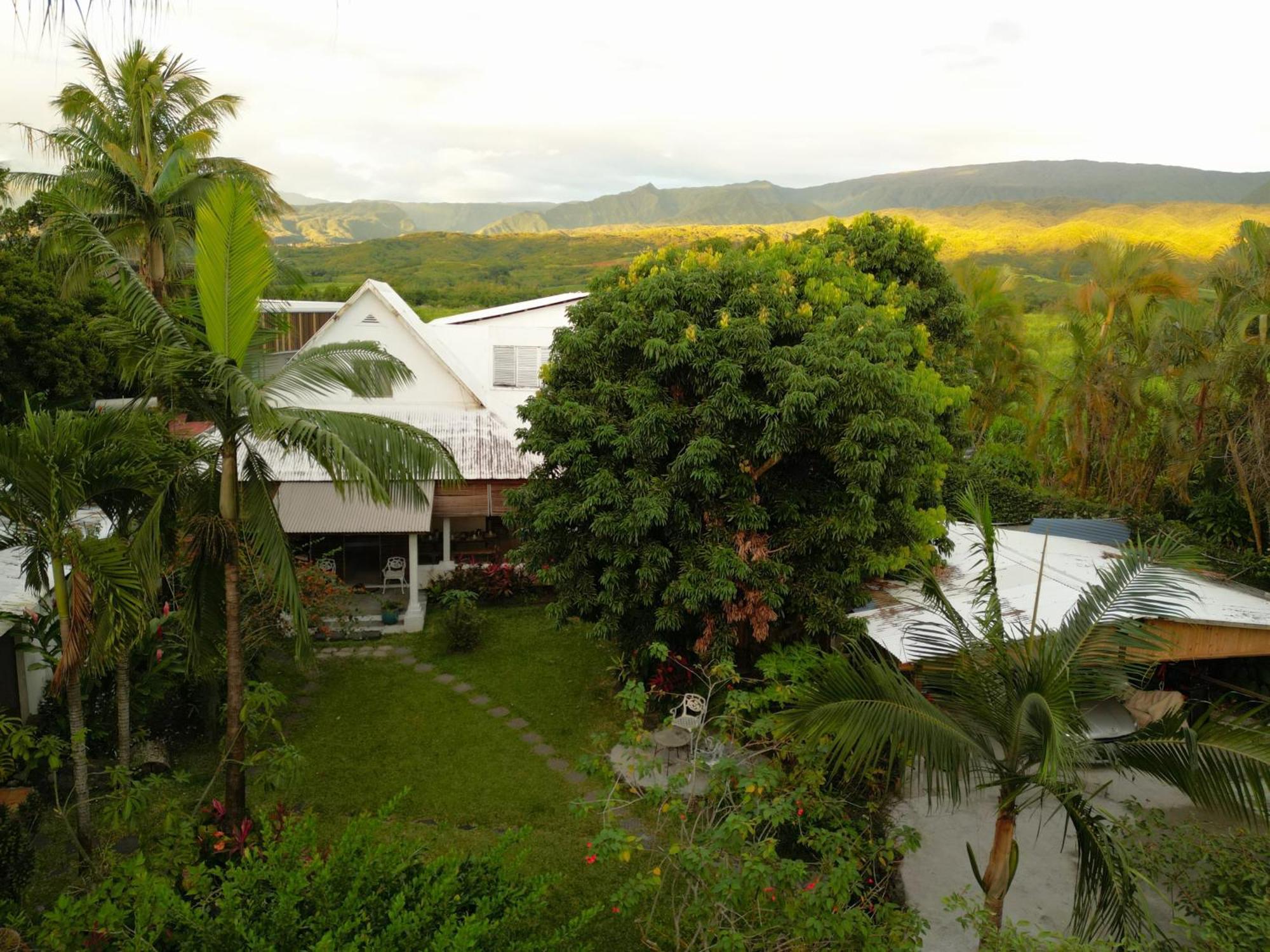 Le Medinilla Bed and Breakfast Bras-Panon Εξωτερικό φωτογραφία